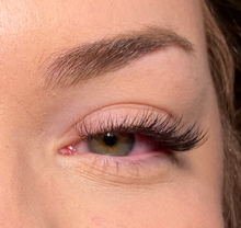 Load image into Gallery viewer, Eyelash Extensions